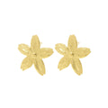 Boucles d'oreilles Mireille